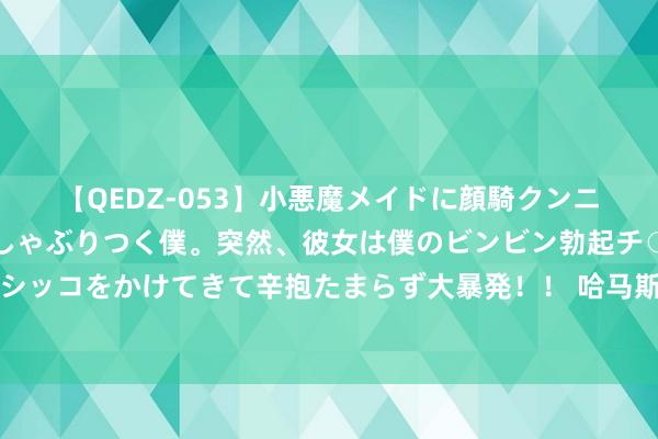 【QEDZ-053】小悪魔メイドに顔騎クンニを強要されオマ○コにしゃぶりつく僕。突然、彼女は僕のビンビン勃起チ○ポをしごき、聖水オシッコをかけてきて辛抱たまらず大暴発！！ 哈马斯：以方对停战公约提议新条目和要求，拖延手艺