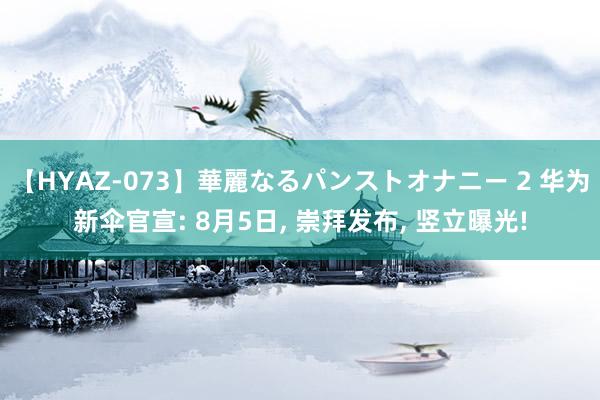 【HYAZ-073】華麗なるパンストオナニー 2 华为新伞官宣: 8月5日， 崇拜发布， 竖立曝光!