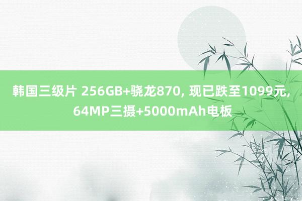 韩国三级片 256GB+骁龙870， 现已跌至1099元， 64MP三摄+5000mAh电板