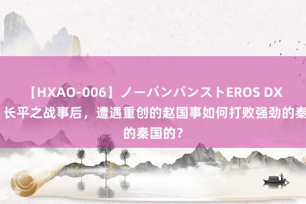 【HXAO-006】ノーパンパンストEROS DX4時間 长平之战事后，遭遇重创的赵国事如何打败强劲的秦国的？