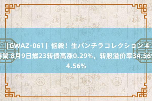 【GWAZ-061】悩殺！生パンチラコレクション 4時間 8月9日燃23转债高涨0.29%，转股溢价率34.56%