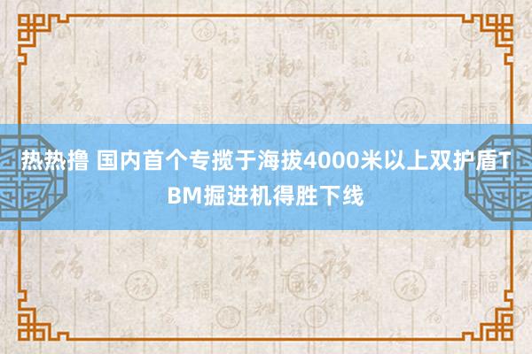 热热撸 国内首个专揽于海拔4000米以上双护盾TBM掘进机得胜下线