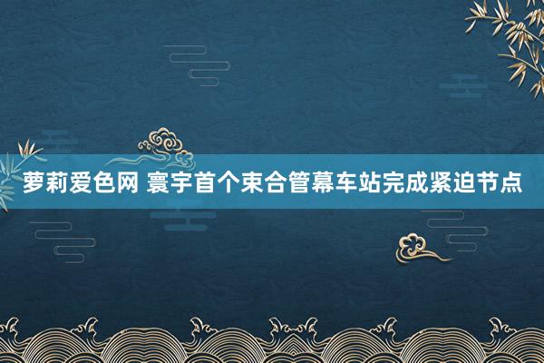 萝莉爱色网 寰宇首个束合管幕车站完成紧迫节点