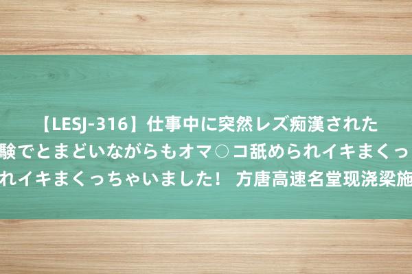 【LESJ-316】仕事中に突然レズ痴漢された私（ノンケ）初めての経験でとまどいながらもオマ○コ舐められイキまくっちゃいました！ 方唐高速名堂现浇梁施工圆满完成