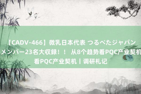 【CADV-466】微乳日本代表 つるぺたジャパン 8時間 最終メンバー23名大収録！！ 从8个趋势看PQC产业契机丨调研札记