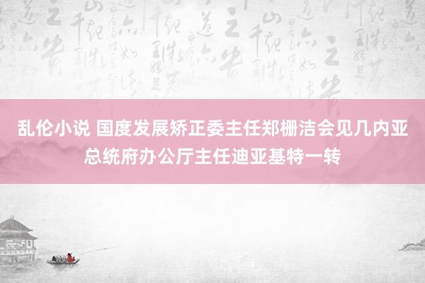 乱伦小说 国度发展矫正委主任郑栅洁会见几内亚总统府办公厅主任迪亚基特一转