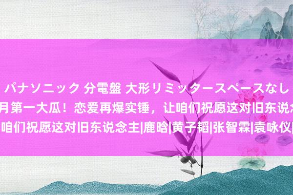 パナソニック 分電盤 大形リミッタースペースなし 露出・半埋込両用形 9月第一大瓜！恋爱再爆实锤，让咱们祝愿这对旧东说念主|鹿晗|黄子韬|张智霖|袁咏仪|exo